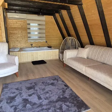 Doga Villa07